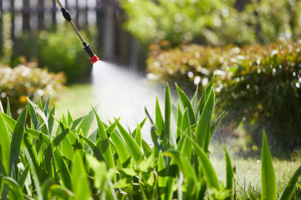 24/7 Emergency Mosquito Control experts in Wilmington Island, GA