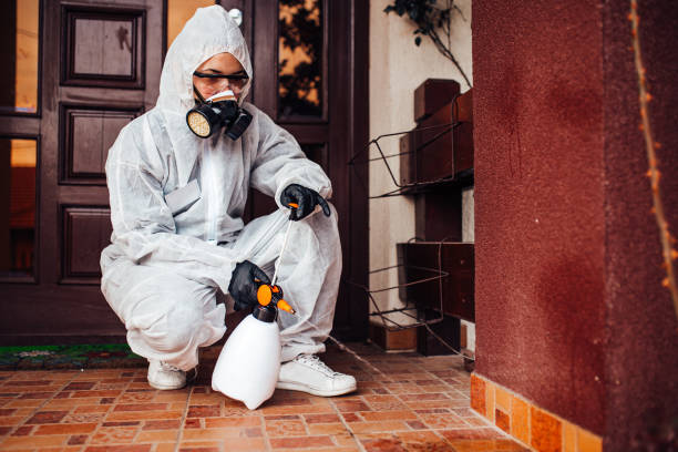 Reliable Mosquito Control contractor in Wilmington Island, GA by Nex Pest Control