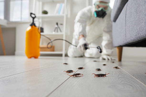 Trusted Fumigation Services service in Wilmington Island, GA - Nex Pest Control