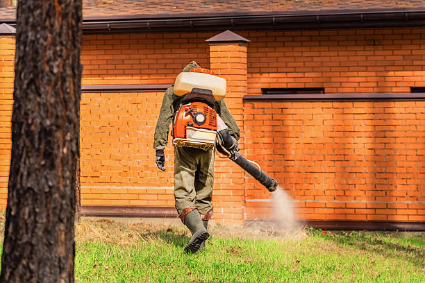 Trusted Mosquito Control service in Wilmington Island, GA - Nex Pest Control
